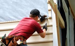 Best Vinyl Siding Installation  in Socorro, TX